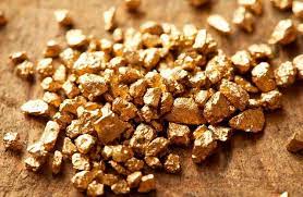 Pepitas de ouro amontoadas sobre uma superfície de madeira